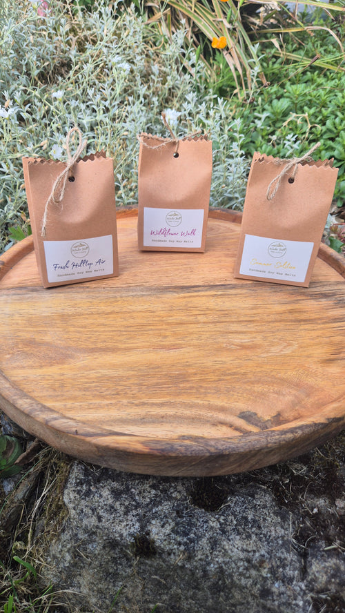 5 Summer Solstice Wax Melts