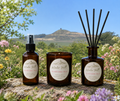 Wildflower Walk Home Fragrance 3 Product Bundle- FREE Room Spray Offer